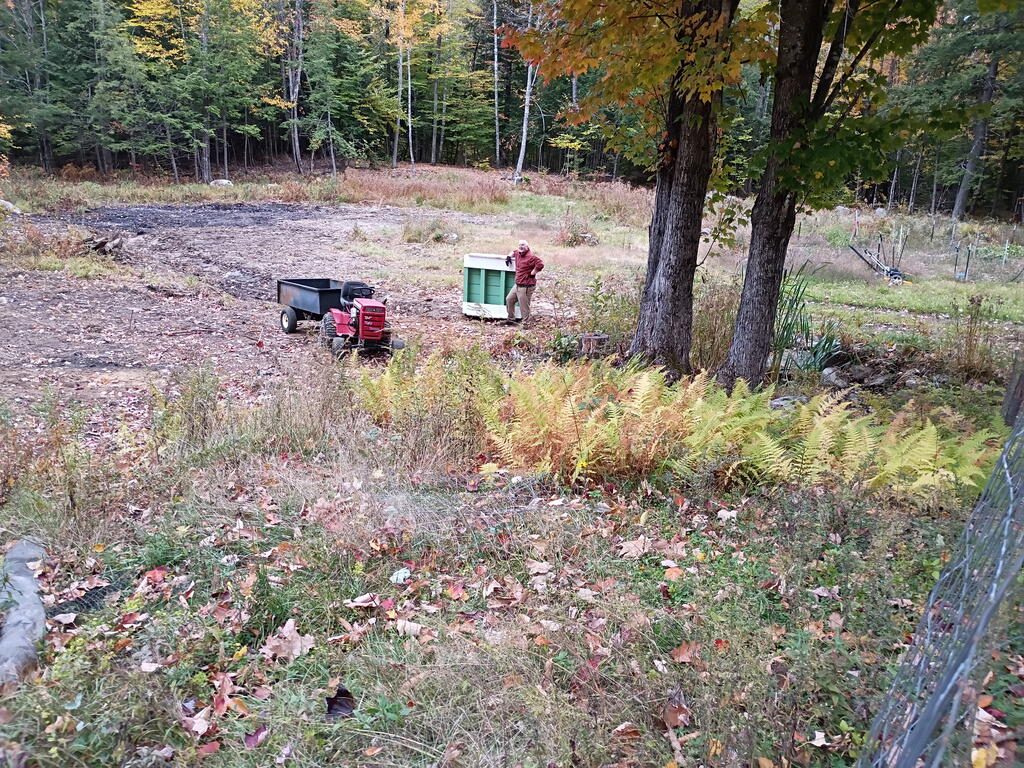 IMG_20261011_174748.jpg.6bb08b5199c0d331daa65d56e361fb41.jpg
